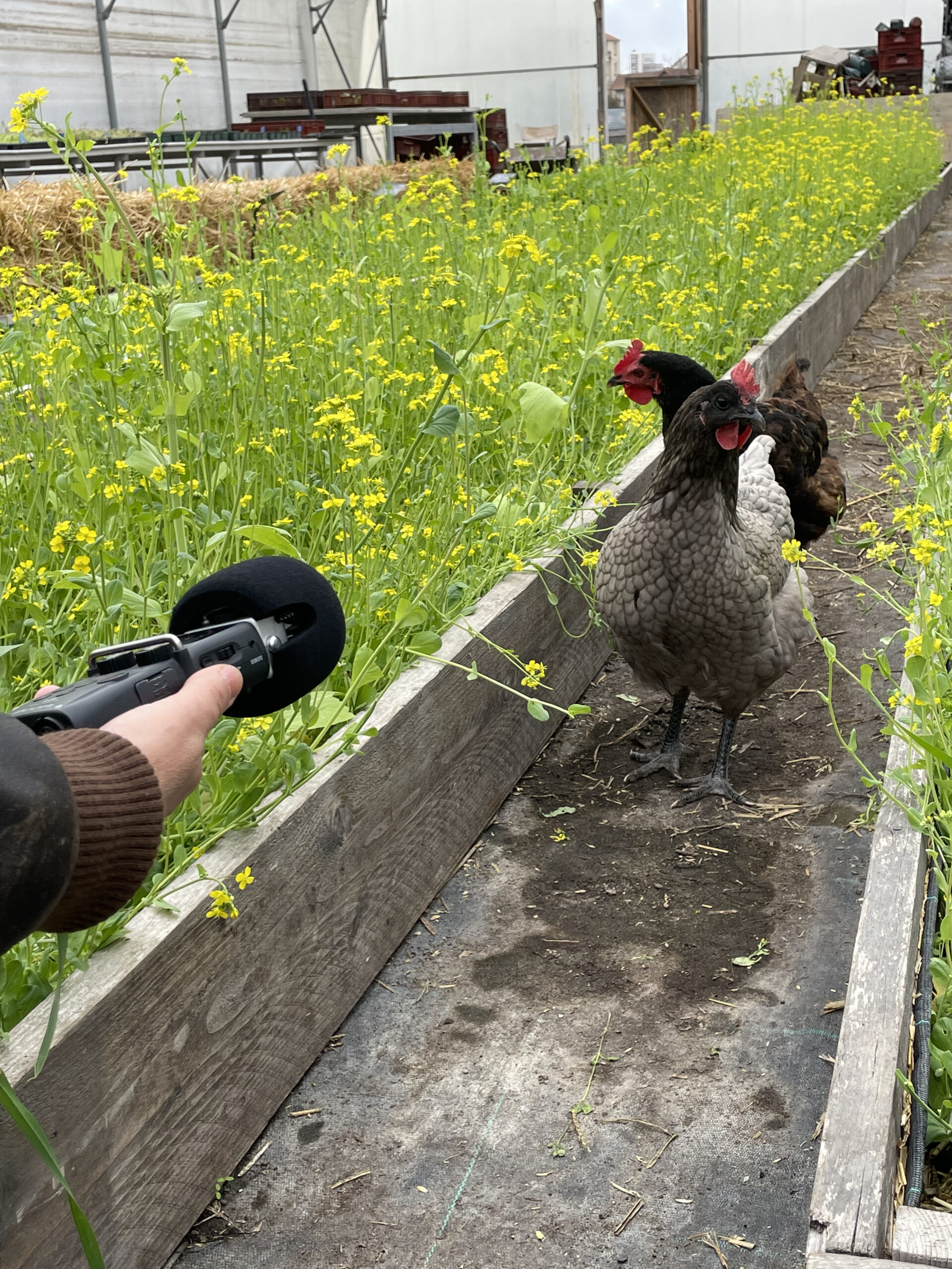 Zone sensible Partie 2