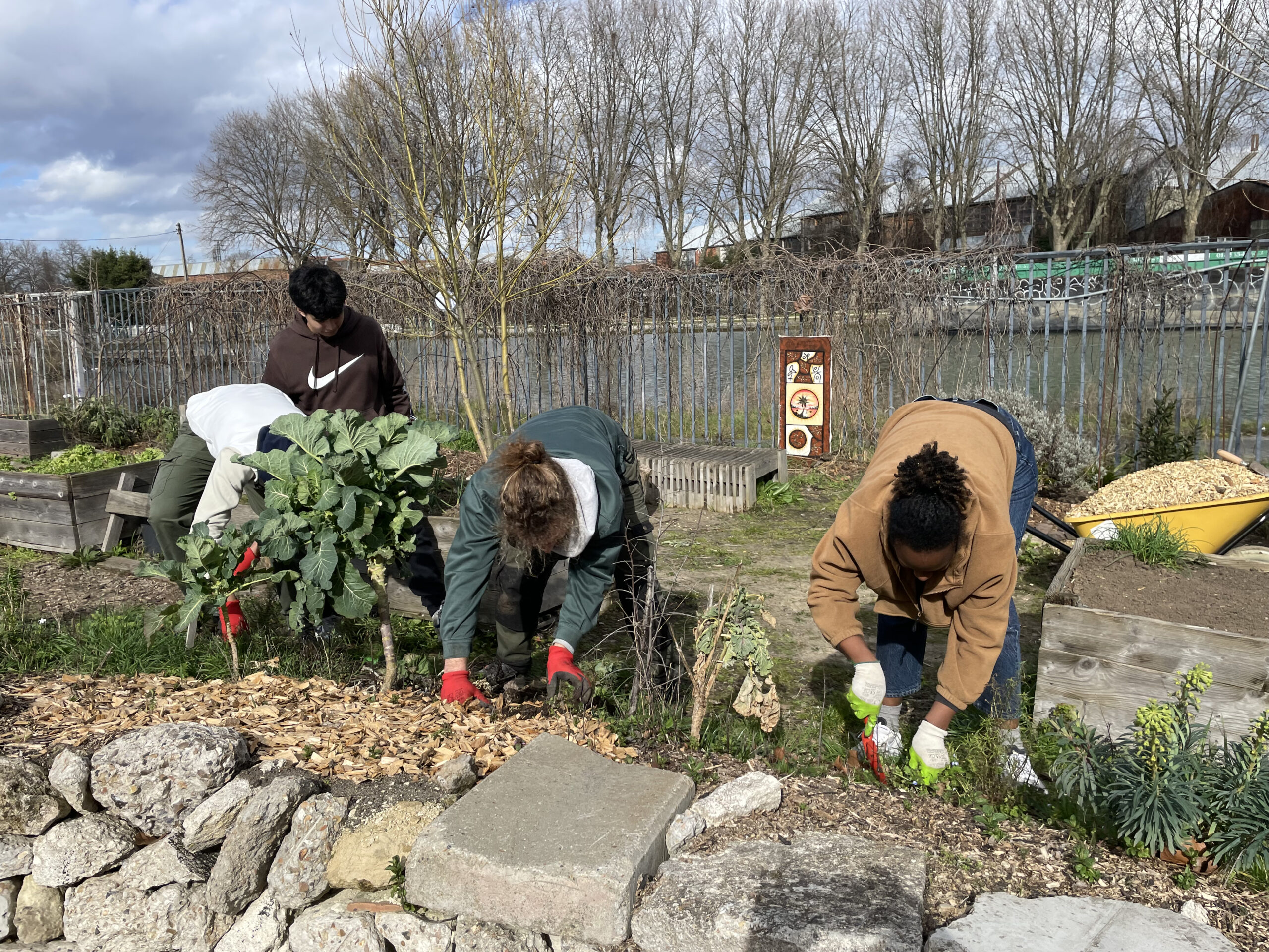 Le potager du 6B