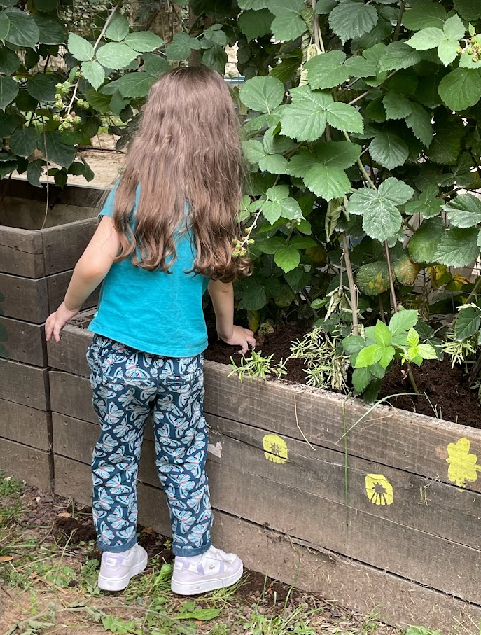 Potager Cité Rabelais