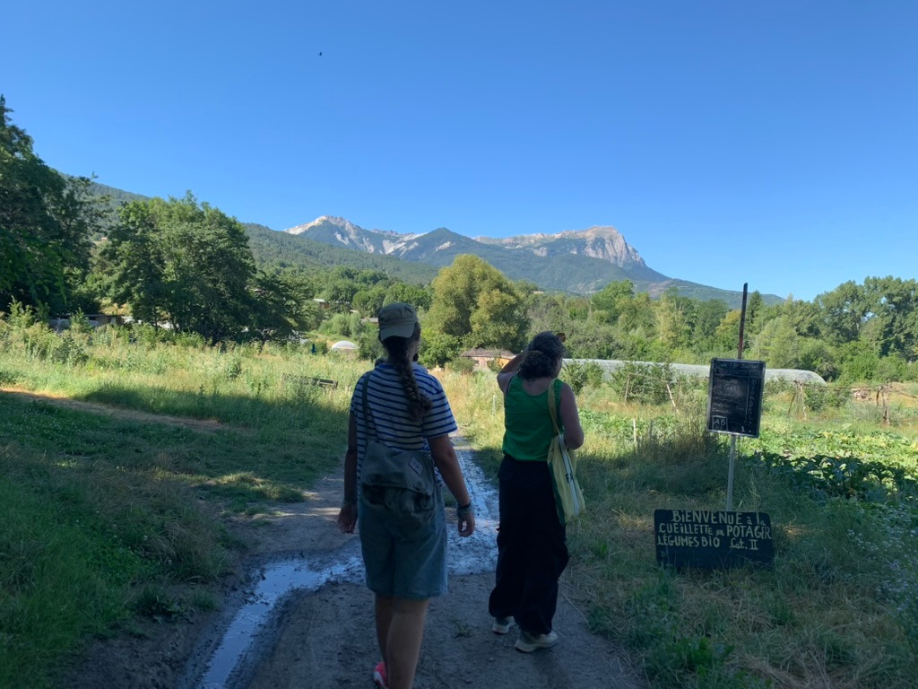 La cueillette du potager