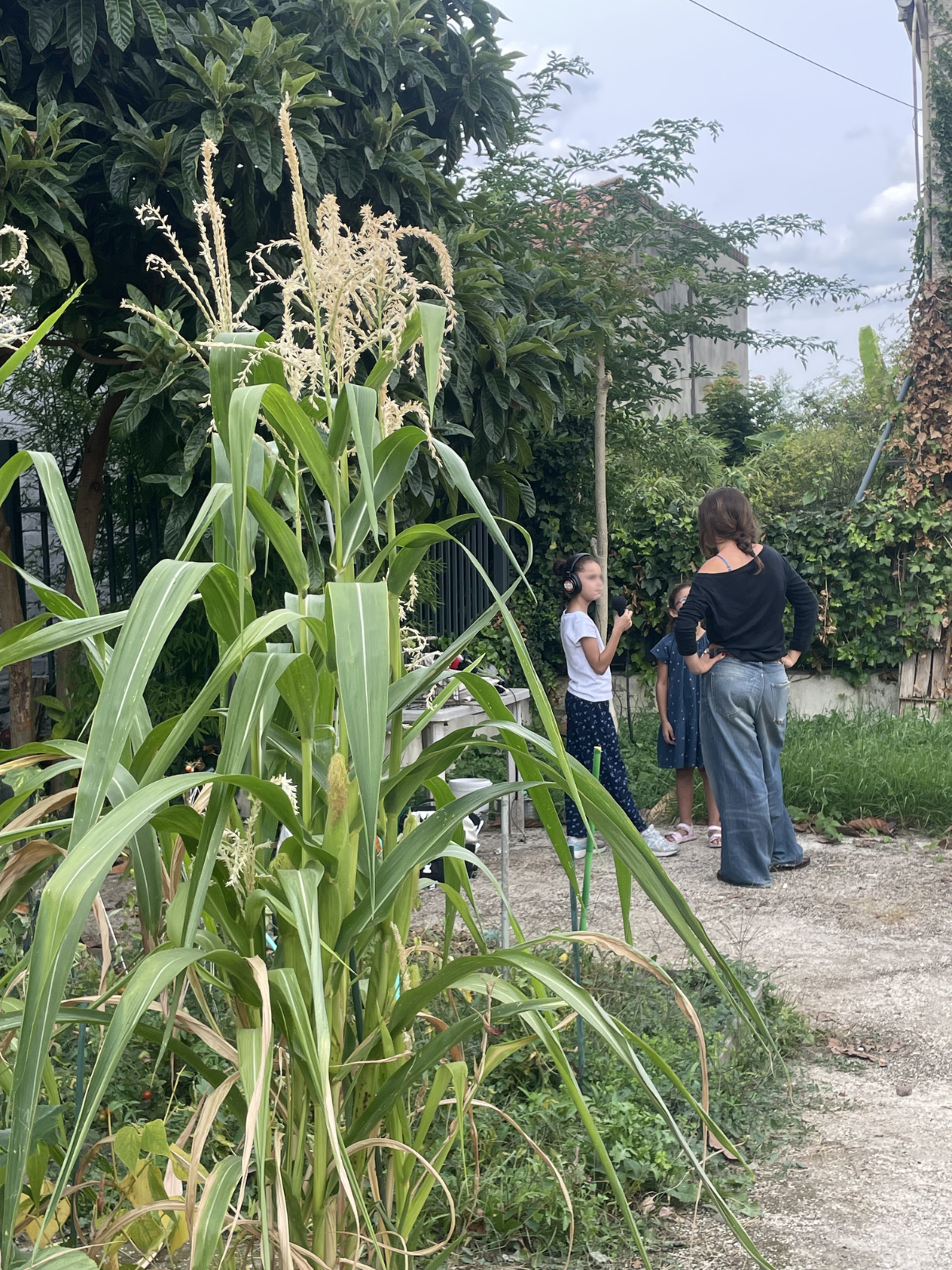 Le potager de la Cité Jaurès