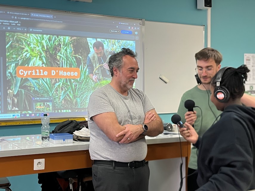Portrait de Cyrille D&rsquo;Haese, expert des collemboles